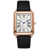 Daevric Royal Dial Watch